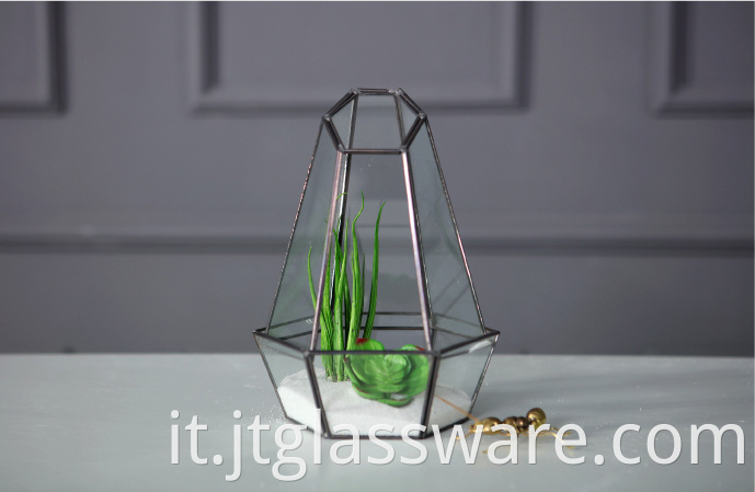 Indoor Plant Black Glass Terrarium 